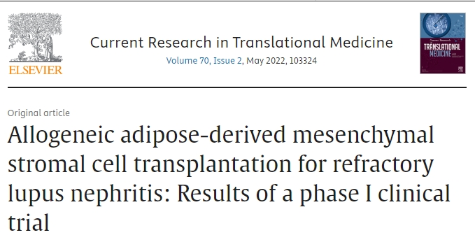 異體脂肪間充質基質細胞移植治療難治性狼瘡腎炎:一期臨床試驗結果 異體脂肪間充質基質細胞移植治療難治性狼瘡腎炎:一期臨床試驗結果