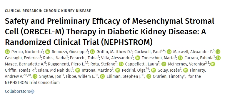 間充質基質細胞(ORBCEL-M)治療糖尿病腎病的安全性和初步療效:隨機臨床試驗(NEPHSTROM)