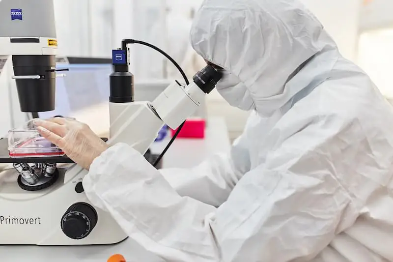 使用顯微鏡監(jiān)測干細胞的活力 使用顯微鏡監(jiān)測干細胞的活力