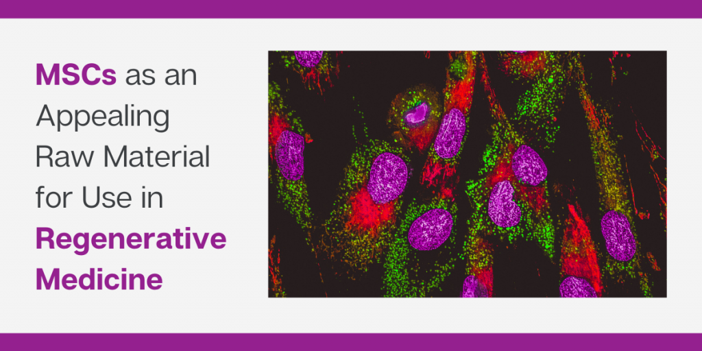 間充質干細胞是再生醫學領域極具吸引力的原材料 間充質干細胞是再生醫學領域極具吸引力的原材料