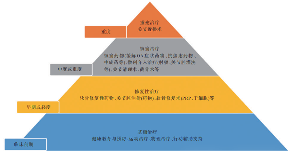 中國骨關節炎診療指南(2024 版) 中國骨關節炎診療指南(2024 版)