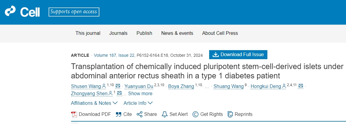 化學誘導的多能干細胞衍生的胰島移植到1型糖尿病患者的腹部前直肌鞘下 化學誘導的多能干細胞衍生的胰島移植到1型糖尿病患者的腹部前直肌鞘下