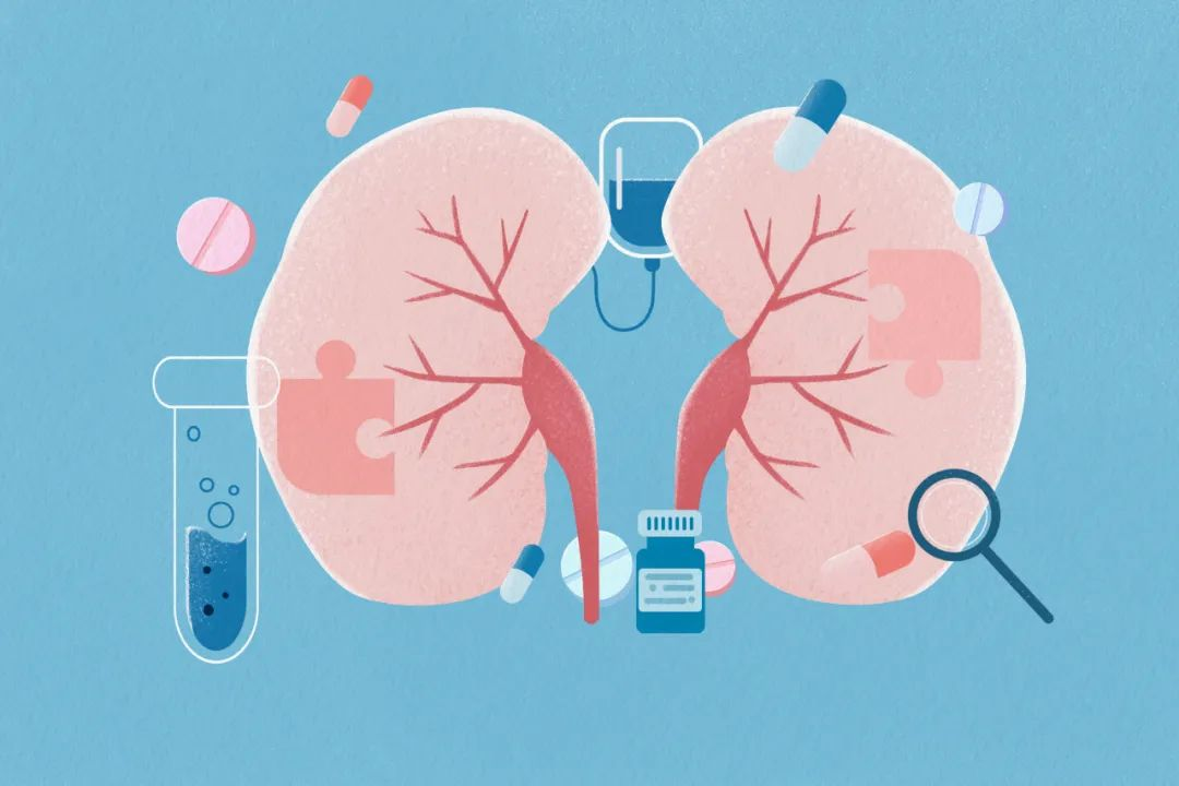 直擊腎科難題!解密干細(xì)胞如何重塑腎病患者腎小球濾過率 直擊腎科難題!解密干細(xì)胞如何重塑腎病患者腎小球濾過率