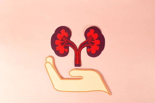 再生醫學vs藥理干預:干細胞與藥物在腎病治療中的療效對比 再生醫學vs藥理干預:干細胞與藥物在腎病治療中的療效對比