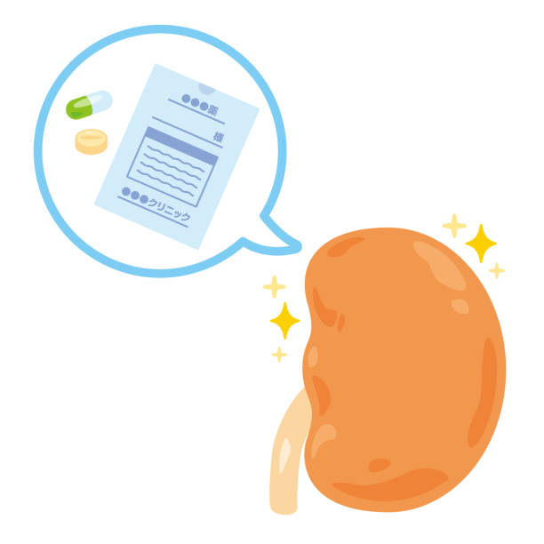 間充質干細胞治療腎病的獨特優勢:5項臨床驗證患者腎功能改善 間充質干細胞治療腎病的獨特優勢:5項臨床驗證患者腎功能改善