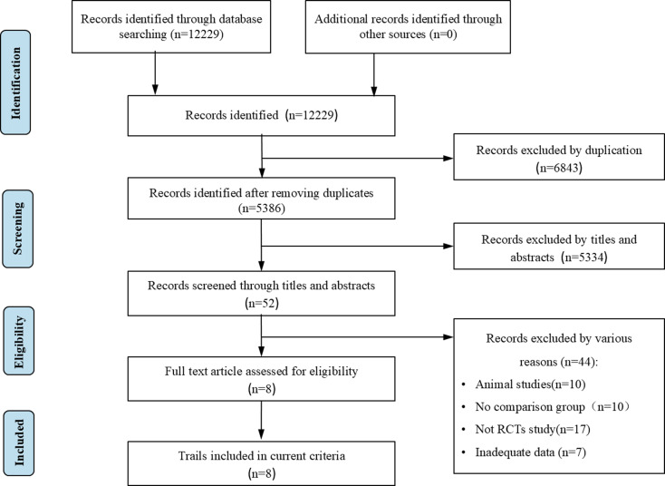 圖1:系統評價的首選報告項目 圖1:系統評價的首選報告項目