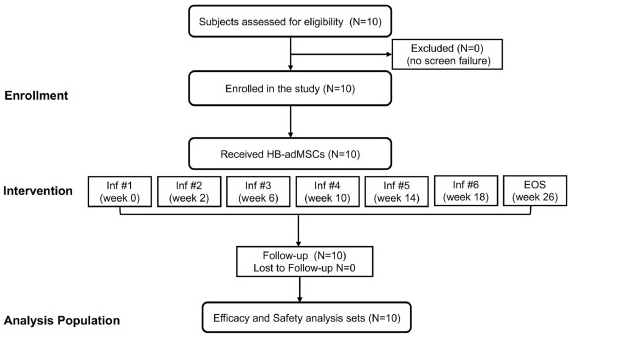 中型擴展訪問計劃的 CONSORT 流程圖 中型擴展訪問計劃的 CONSORT 流程圖