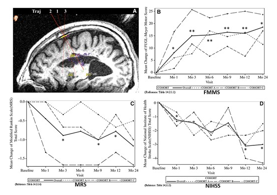 24 個月隨訪的臨床結果 24 個月隨訪的臨床結果