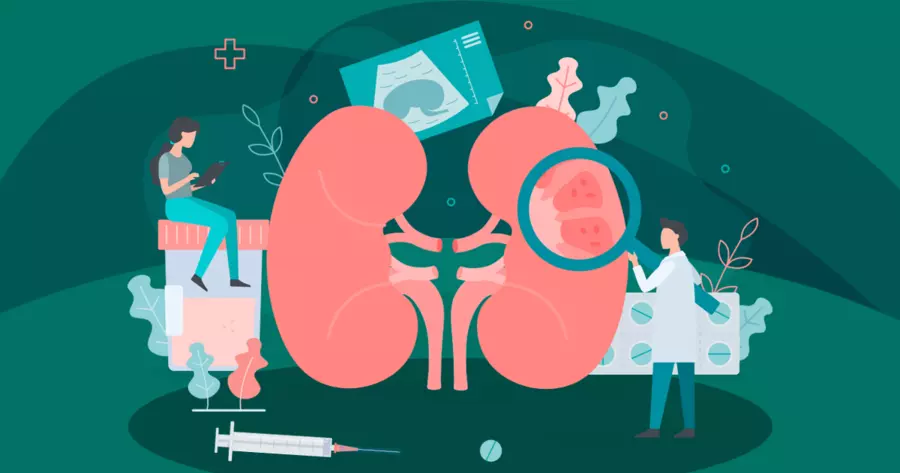 干細胞治療腎病:為何早晚期療效差異懸殊?關鍵機制揭秘 干細胞治療腎病:為何早晚期療效差異懸殊?關鍵機制揭秘