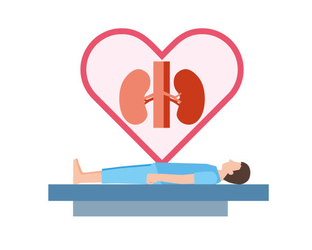 干細(xì)胞治療腎病的長(zhǎng)期安全性如何?10年隨訪記錄告訴你答案 干細(xì)胞治療腎病的長(zhǎng)期安全性如何?10年隨訪記錄告訴你答案