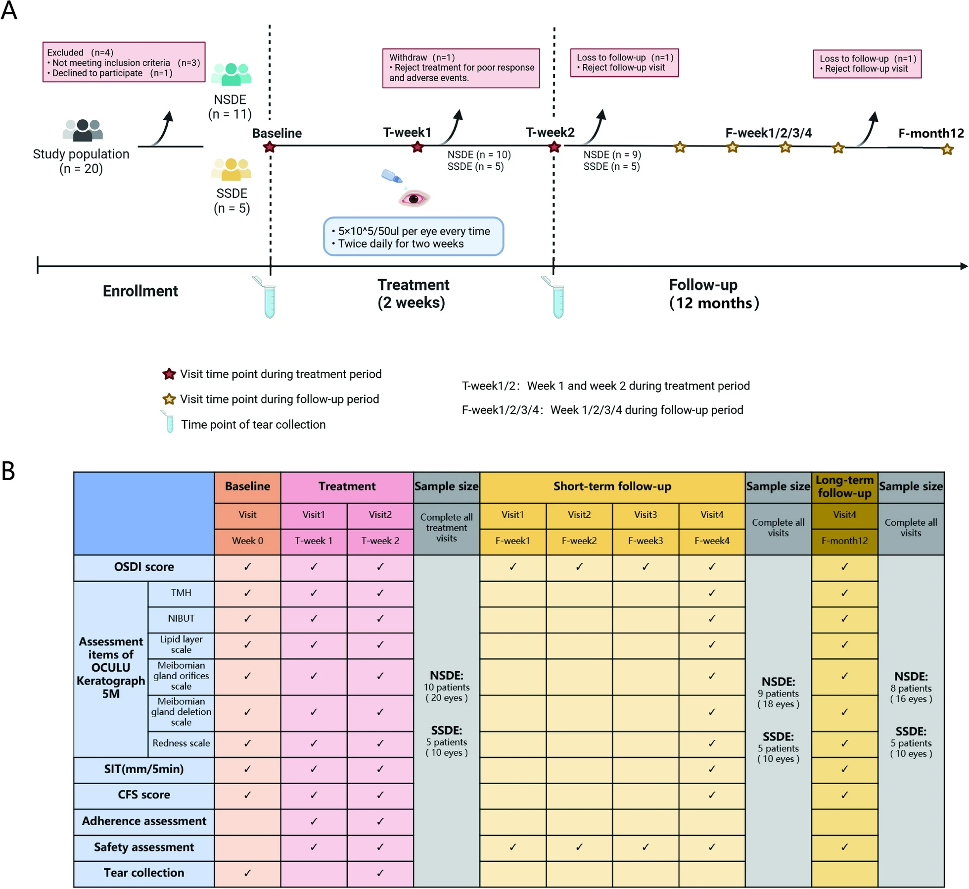 圖1:臨床試驗(yàn)設(shè)計(jì)。 圖1:臨床試驗(yàn)設(shè)計(jì)。