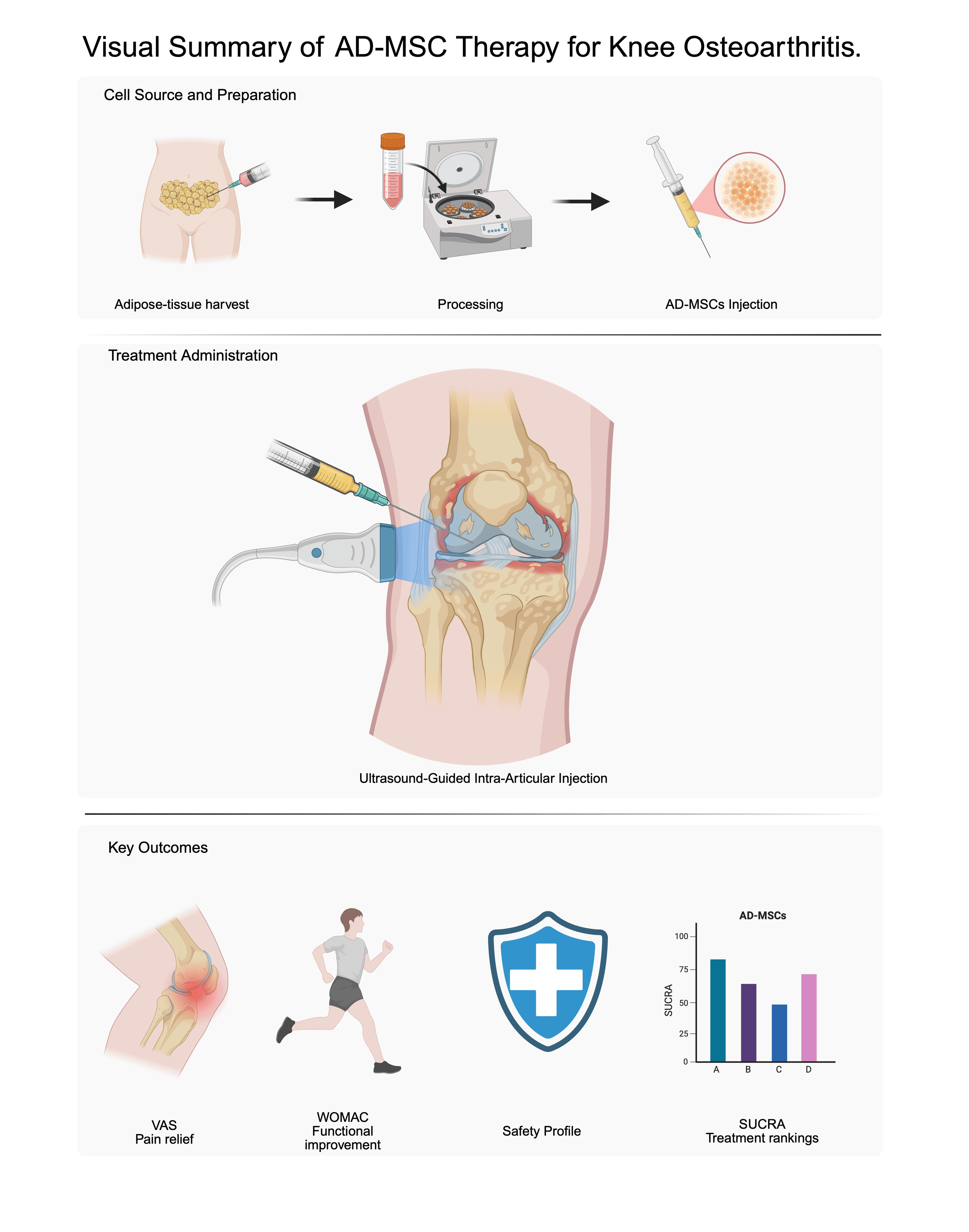 圖1:脂肪間充質干細胞治療膝骨關節(jié)炎的概述 圖1:脂肪間充質干細胞治療膝骨關節(jié)炎的概述