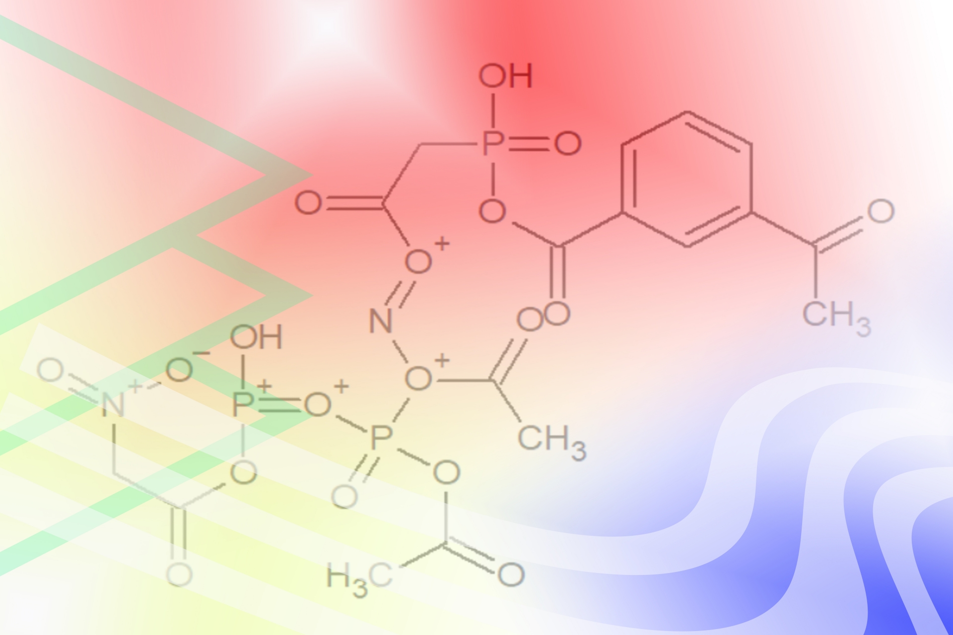 神經(jīng)膠質(zhì)細胞 神經(jīng)膠質(zhì)細胞
