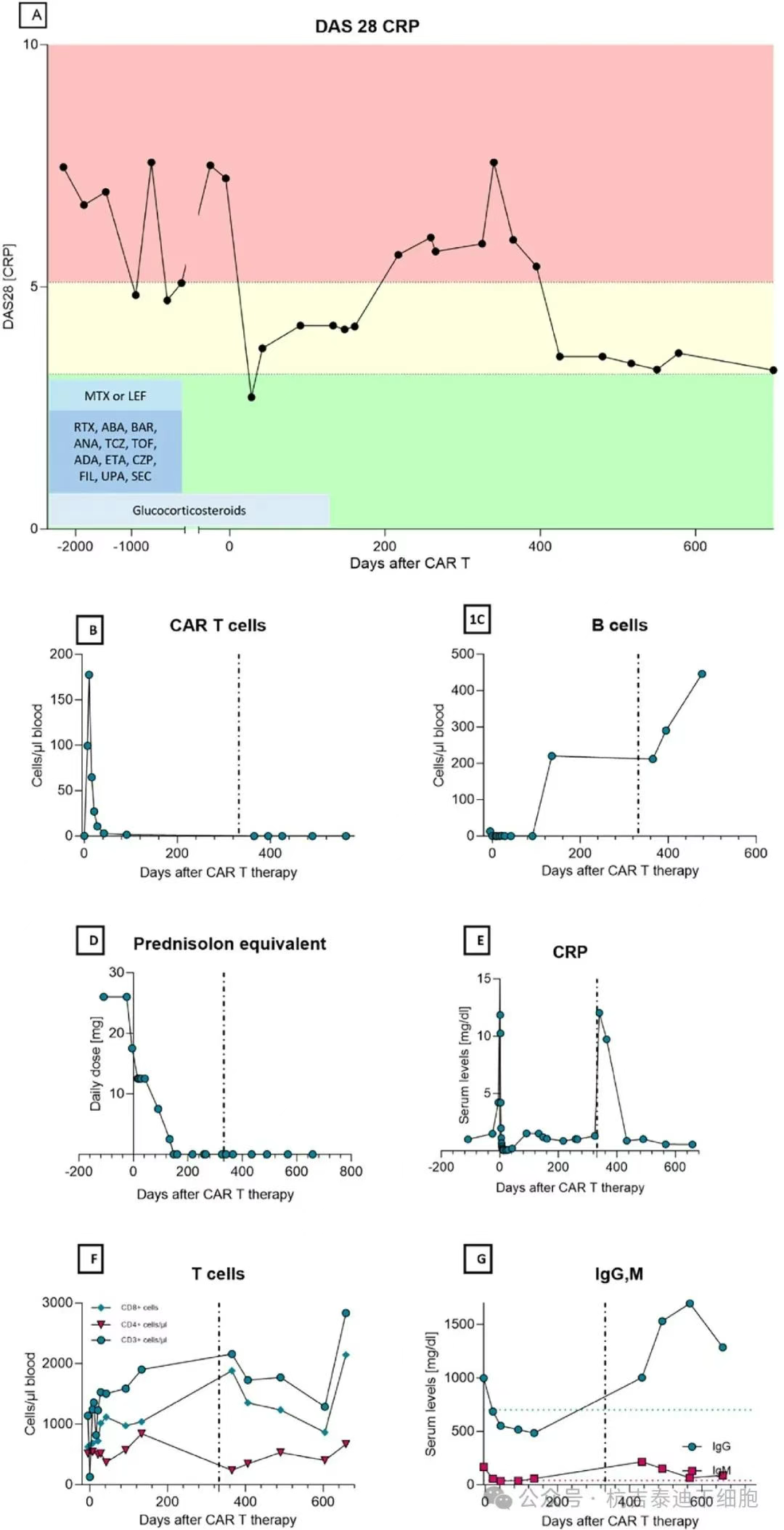 圖1:通過DAS28和依次給予的伴隨藥物測量的CAR-T細胞療法和HSCT在RA疾病活動性方面的結果 圖1:通過DAS28和依次給予的伴隨藥物測量的CAR-T細胞療法和HSCT在RA疾病活動性方面的結果