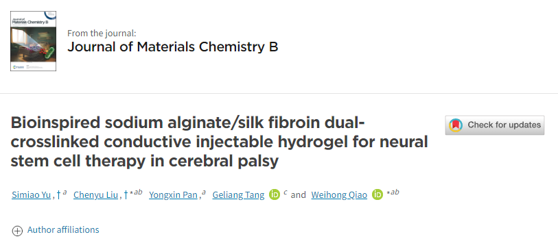 用于腦癱神經干細胞治療的仿生海藻酸鈉/絲素蛋白雙交聯導電注射水凝膠 用于腦癱神經干細胞治療的仿生海藻酸鈉/絲素蛋白雙交聯導電注射水凝膠