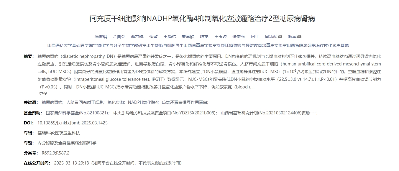 間充質干細胞影響NADHP氧化酶4抑制氧化應激通路治療2型糖尿病腎病 間充質干細胞影響NADHP氧化酶4抑制氧化應激通路治療2型糖尿病腎病
