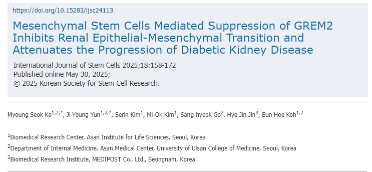 間充質(zhì)干細(xì)胞介導(dǎo)的GREM2抑制可抑制腎臟上皮-間充質(zhì)轉(zhuǎn)化并減緩糖尿病腎病的進(jìn)展 間充質(zhì)干細(xì)胞介導(dǎo)的GREM2抑制可抑制腎臟上皮-間充質(zhì)轉(zhuǎn)化并減緩糖尿病腎病的進(jìn)展