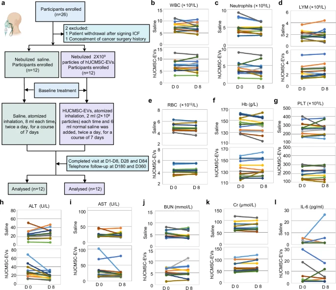 圖4:霧化hUCMSC-EVs對肺纖維化患者的臨床安全性。 圖4:霧化hUCMSC-EVs對肺纖維化患者的臨床安全性。