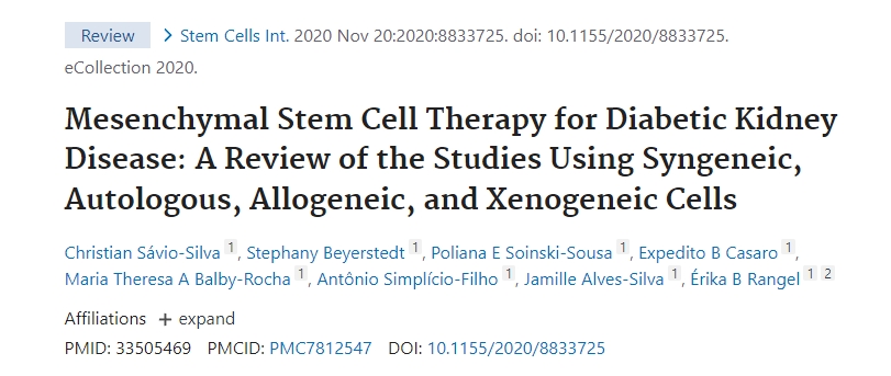 間充質(zhì)干細胞治療糖尿病腎病:同基因、自體、同種異體和異種異體細胞研究的回顧 間充質(zhì)干細胞治療糖尿病腎病:同基因、自體、同種異體和異種異體細胞研究的回顧