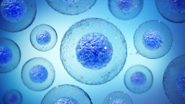 干細(xì)胞治療神經(jīng)退行性疾病的干細(xì)胞類型都有哪些? 干細(xì)胞治療神經(jīng)退行性疾病的干細(xì)胞類型都有哪些?