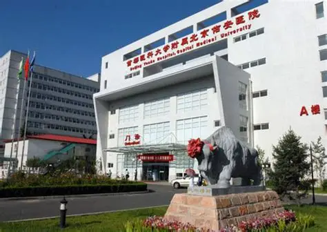 首都醫科大學附屬北京佑安醫院 首都醫科大學附屬北京佑安醫院