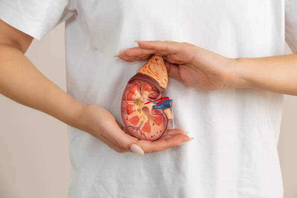 梅奧診所:干細胞療法使腎病患者擺脫終身服用免疫抑制藥物的困擾 梅奧診所:干細胞療法使腎病患者擺脫終身服用免疫抑制藥物的困擾