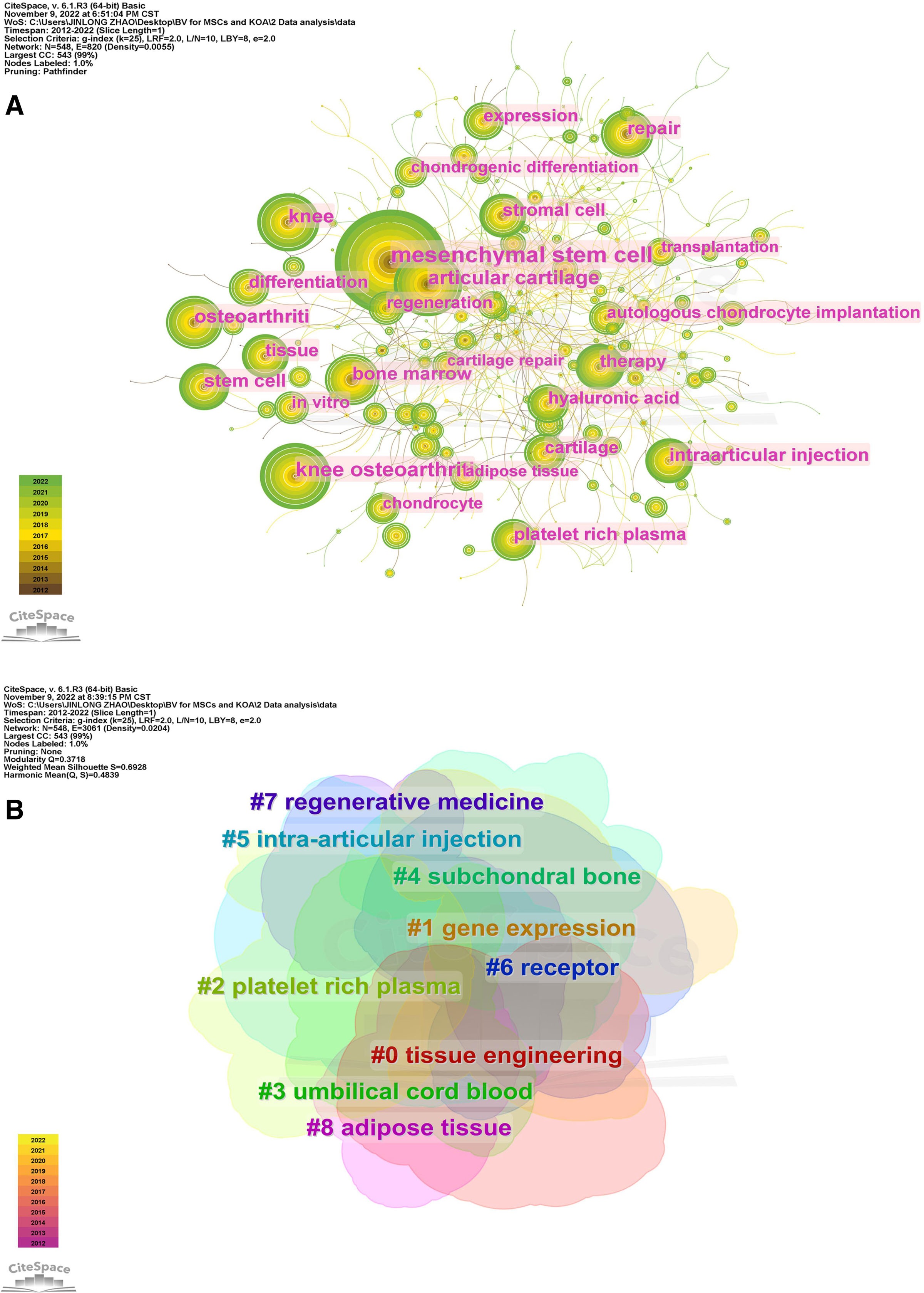 圖5:CiteSpace可視化MSCs與KOA研究的關(guān)鍵詞。(B)關(guān)鍵詞聚類分析。 圖5:CiteSpace可視化MSCs與KOA研究的關(guān)鍵詞。(B)關(guān)鍵詞聚類分析。