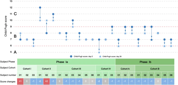 圖2:從基線到第28天,個(gè)人Child-Pugh評(píng)分的變化。 圖2:從基線到第28天,個(gè)人Child-Pugh評(píng)分的變化。
