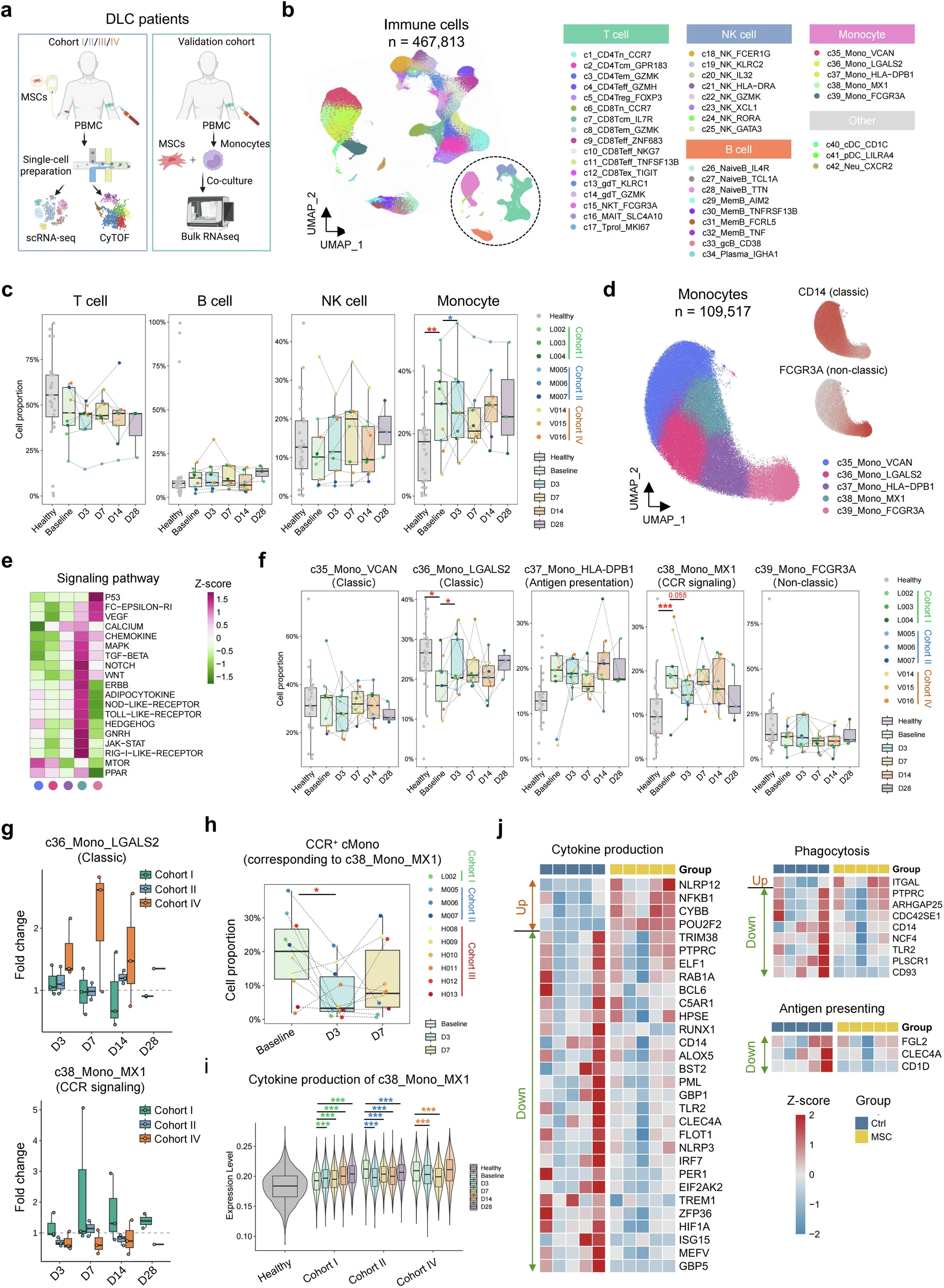 圖3:MSC治療下DLC患者的動(dòng)態(tài)單細(xì)胞景觀 圖3:MSC治療下DLC患者的動(dòng)態(tài)單細(xì)胞景觀