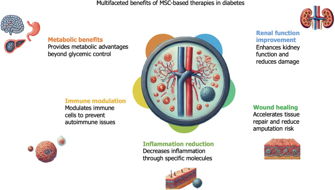 圖5:間充質(zhì)干細(xì)胞療法對(duì)糖尿病患者的各種非血糖影響。 圖5:間充質(zhì)干細(xì)胞療法對(duì)糖尿病患者的各種非血糖影響。