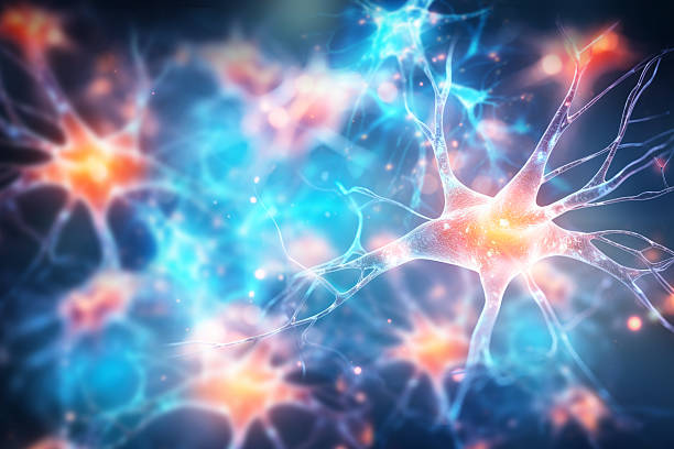 神經(jīng)干細(xì)胞移植能治療哪些疾病？包含帕金森、脊髓損傷等6大適應(yīng)癥