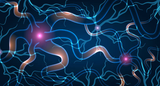 神經干細胞移植效果如何?2025最新臨床進展與患者案例深度解析 神經干細胞移植效果如何?2025最新臨床進展與患者案例深度解析