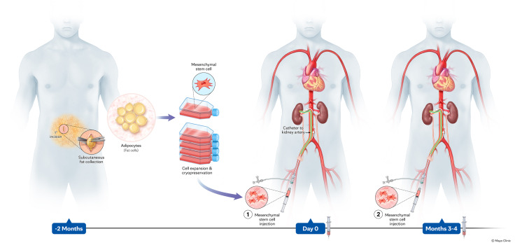 圖1:研究示意圖 圖1:研究示意圖