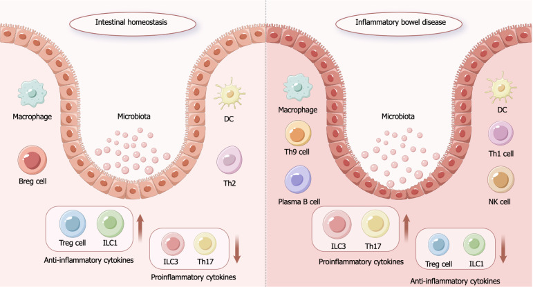 圖1:炎癥性腸病的發病機制。 圖1:炎癥性腸病的發病機制。