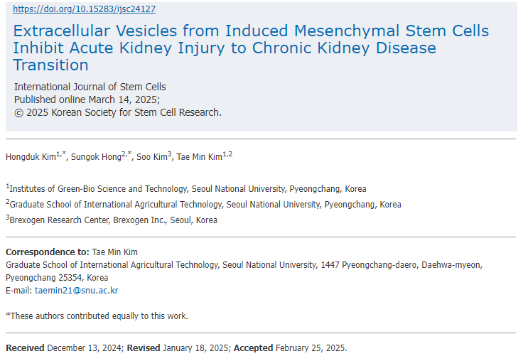 誘導間充質干細胞的細胞外囊泡抑制急性腎損傷向慢性腎病的轉變 誘導間充質干細胞的細胞外囊泡抑制急性腎損傷向慢性腎病的轉變