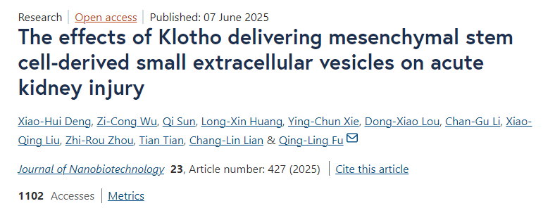 Klotho遞送間充質干細胞來源的小細胞外囊泡對急性腎損傷的影響 Klotho遞送間充質干細胞來源的小細胞外囊泡對急性腎損傷的影響