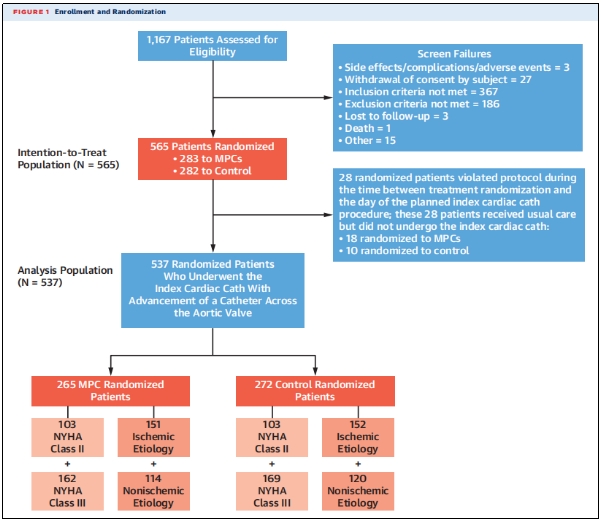 細胞療法 細胞療法