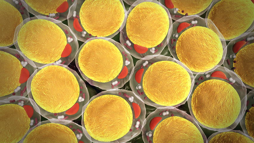 臨床研究 臨床研究