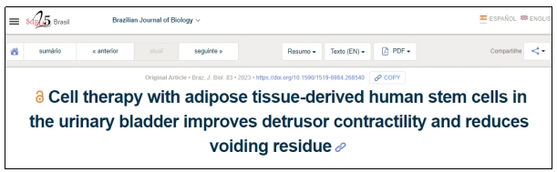 干細胞移植 干細胞移植