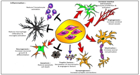 臨床試驗 臨床試驗