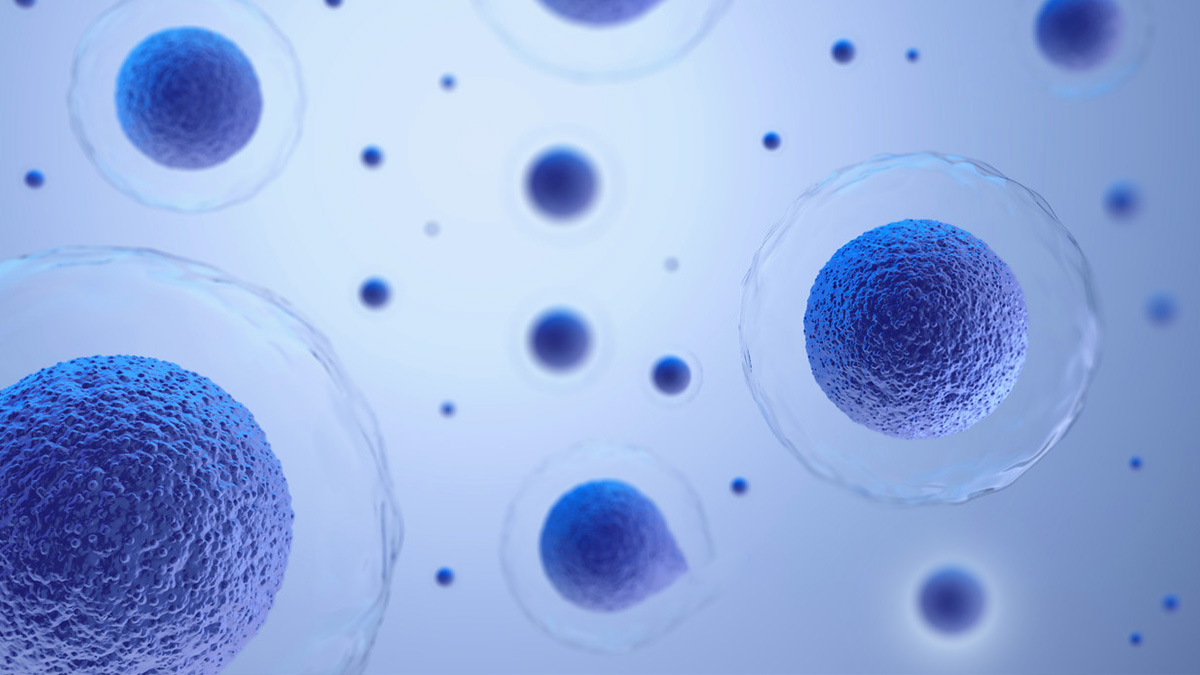 干細胞治療 干細胞治療