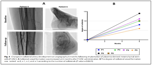 臨床試驗 臨床試驗