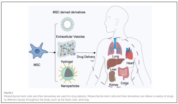 臨床研究 臨床研究