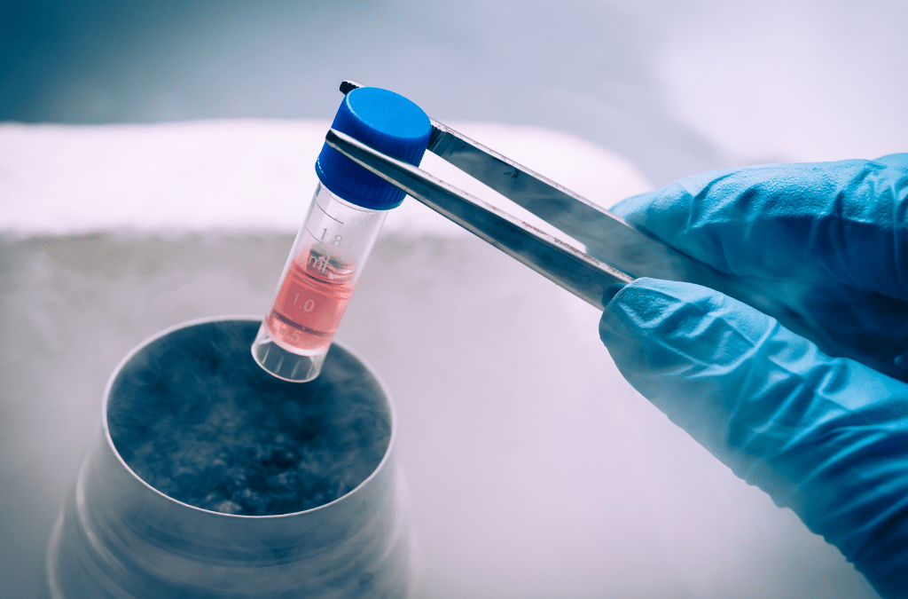 干細胞療法 干細胞療法