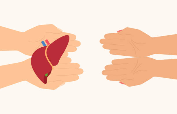 哪些人適合干細(xì)胞治療肝硬化?5大評(píng)估標(biāo)準(zhǔn)教您精準(zhǔn)識(shí)別 哪些人適合干細(xì)胞治療肝硬化?5大評(píng)估標(biāo)準(zhǔn)教您精準(zhǔn)識(shí)別